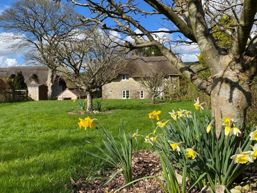 Kings Cottage - Heart of the Deverills - EV Point