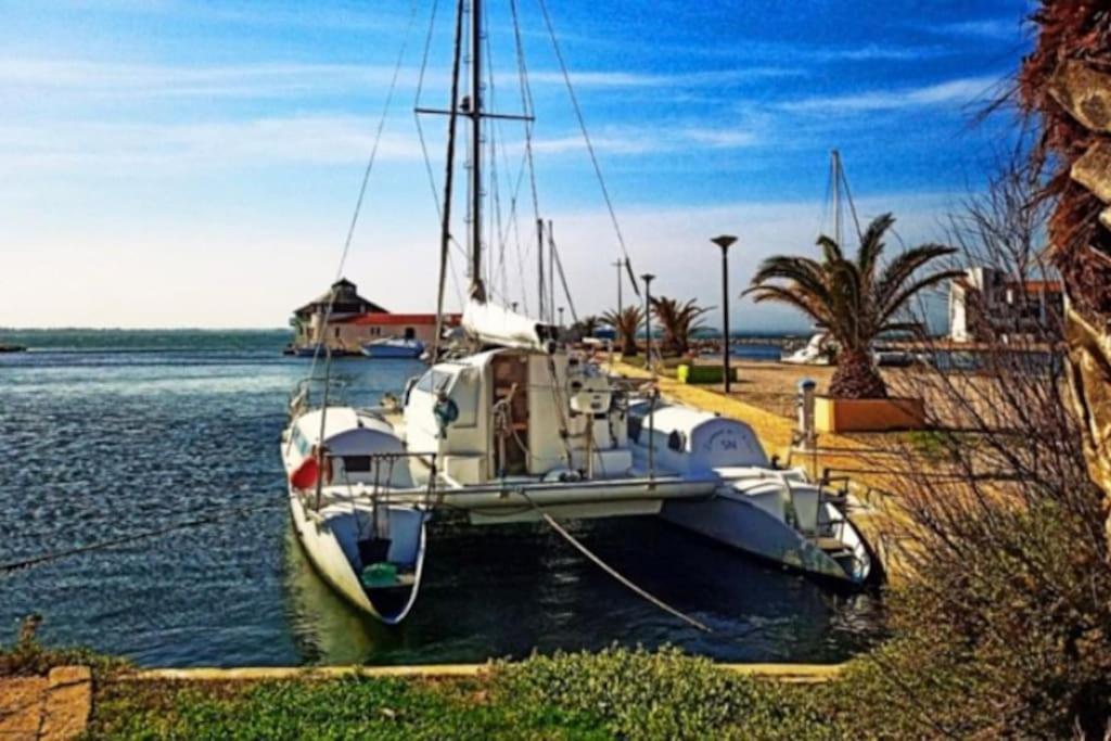 Escapade Marine1 Face à la Mer