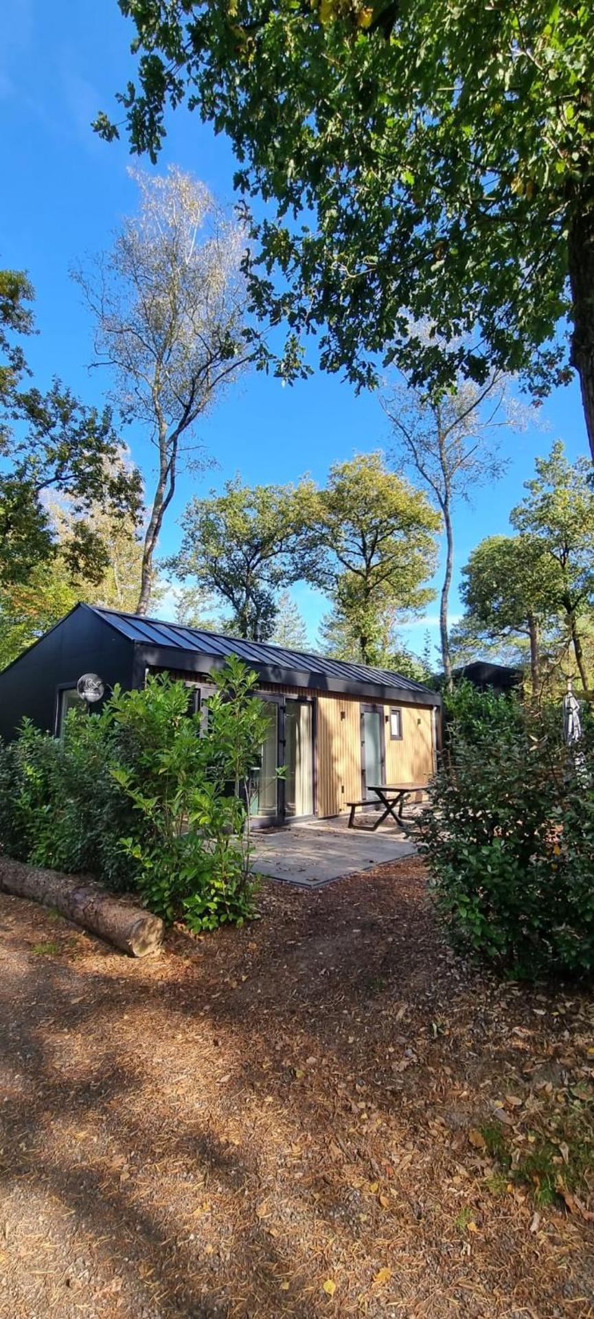 Boslodge Bosmus - 4 personen tussen de bomen