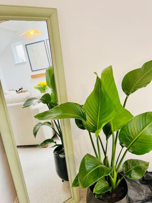 Central Thame cottage