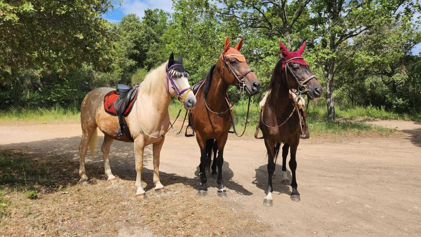 La Cabane aux Chevaux