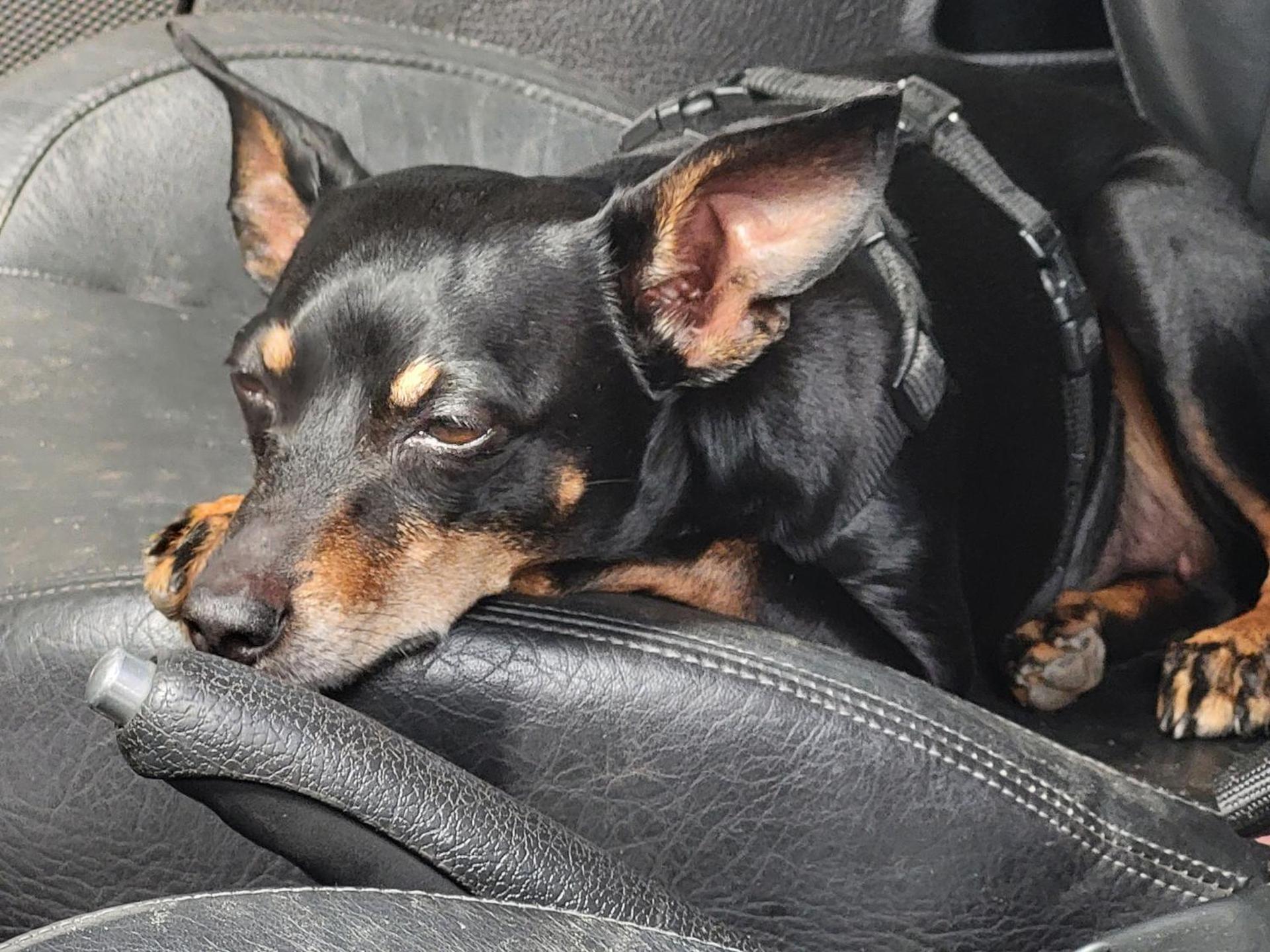 Die alte Schule Häuschen