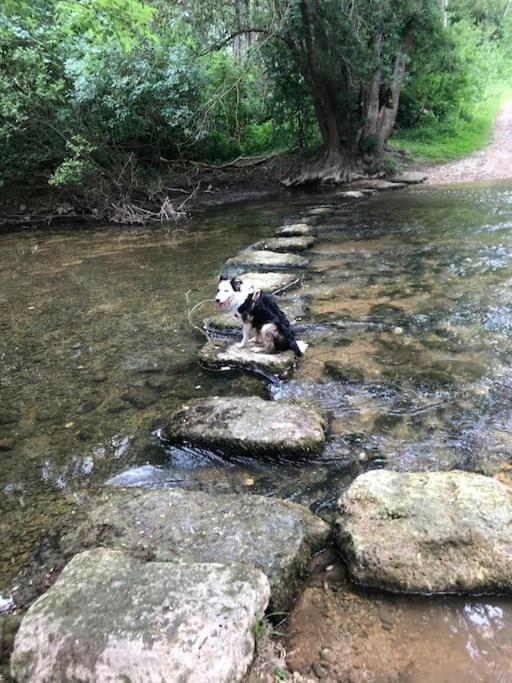 Le gîte de Lou - Piscine privative et massages Bien-être