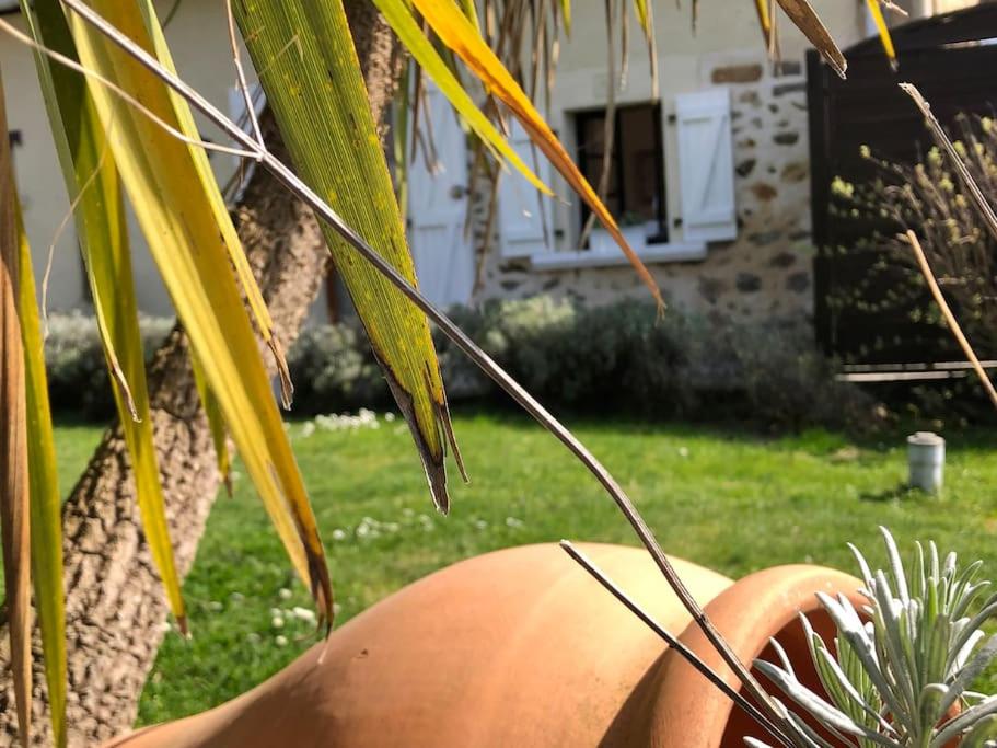 Le gîte de Lou - Piscine privative et massages Bien-être