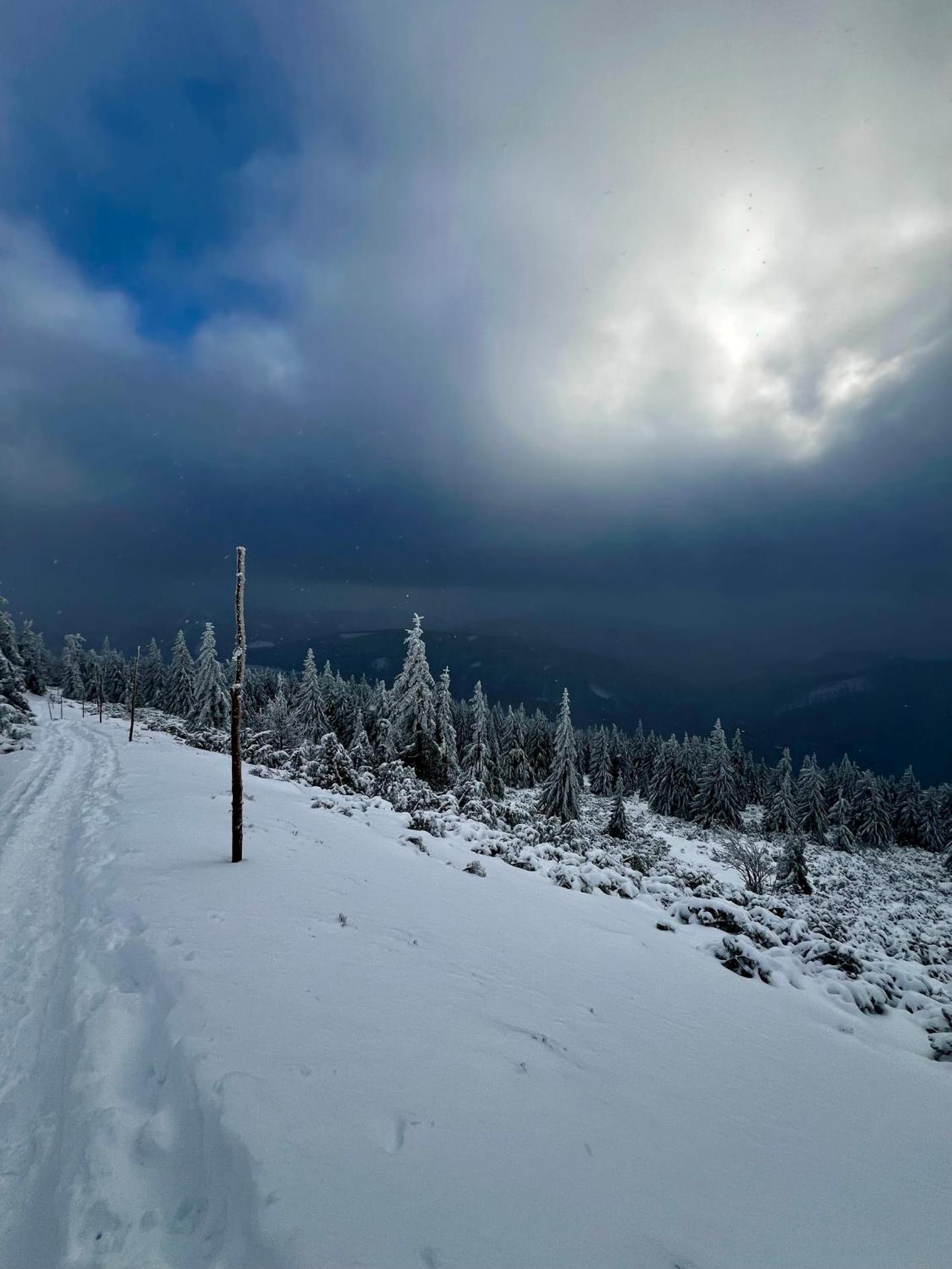 Apartmán Dubový důl