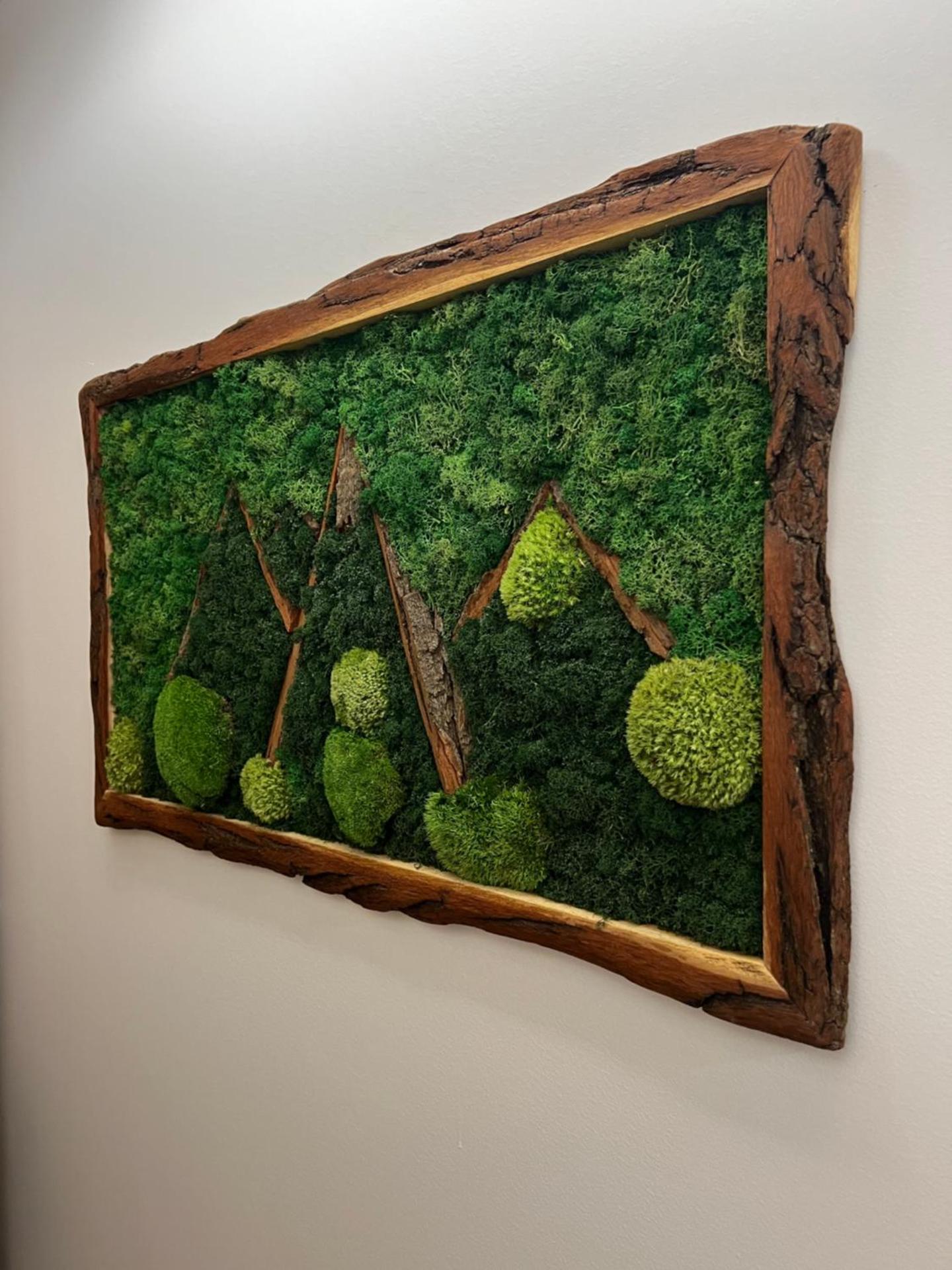 Apartmán Dubový důl