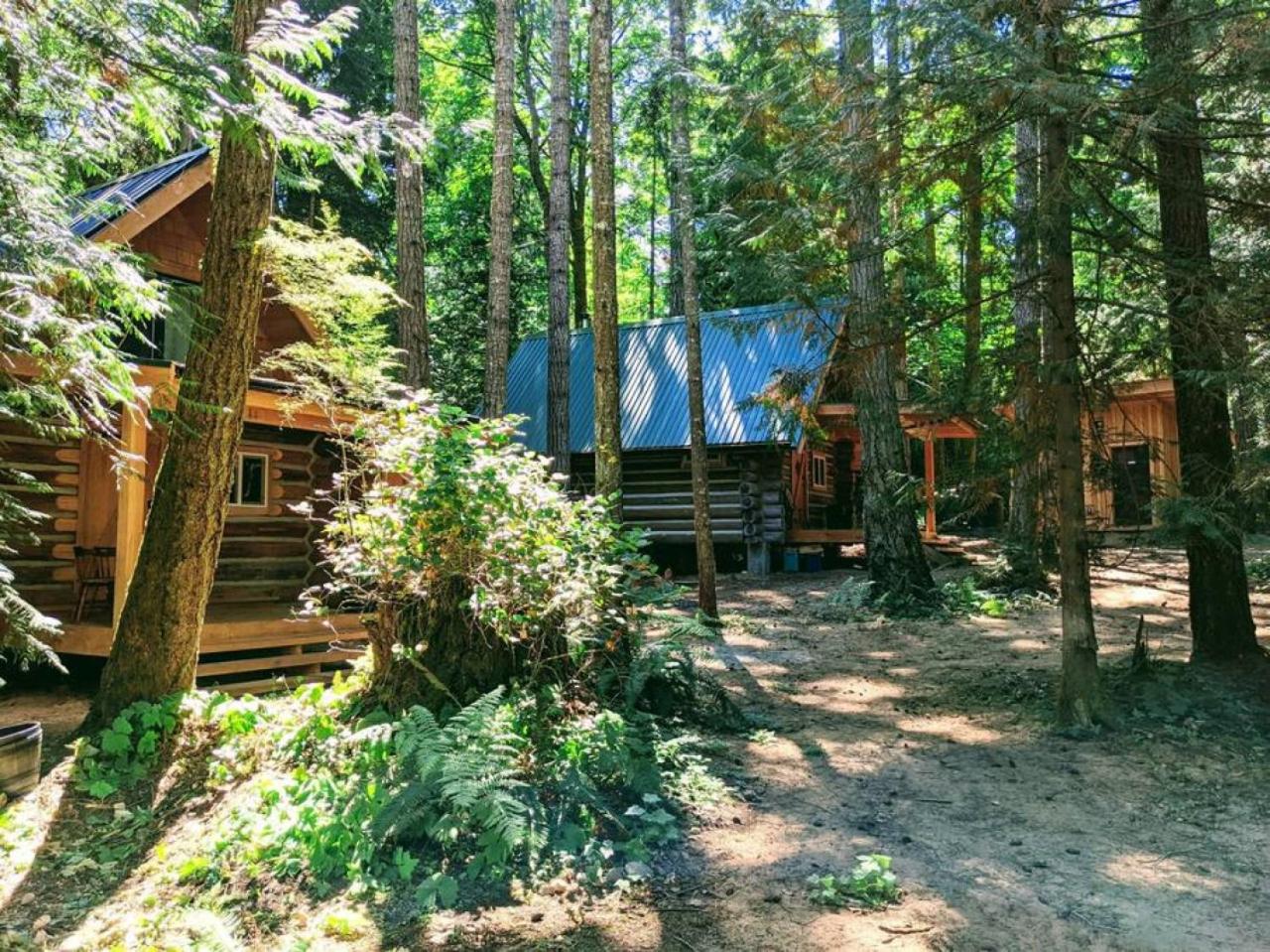 Slow-Go Log Cabin in the Woods with Cozy Woodstove