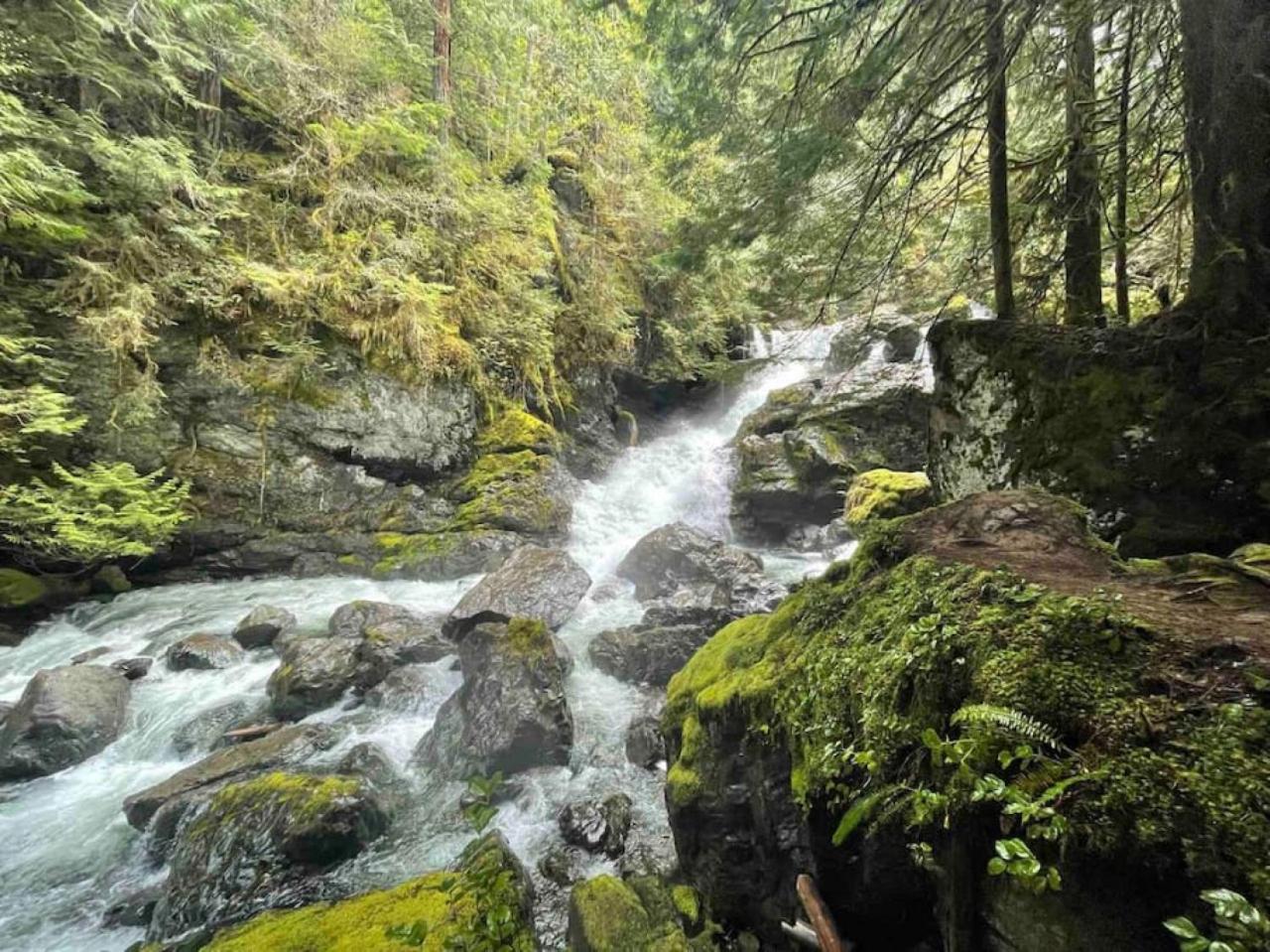 Slow-Go Log Cabin in the Woods with Cozy Woodstove