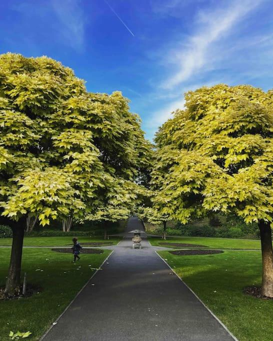 Seashell Apartment - Central location
