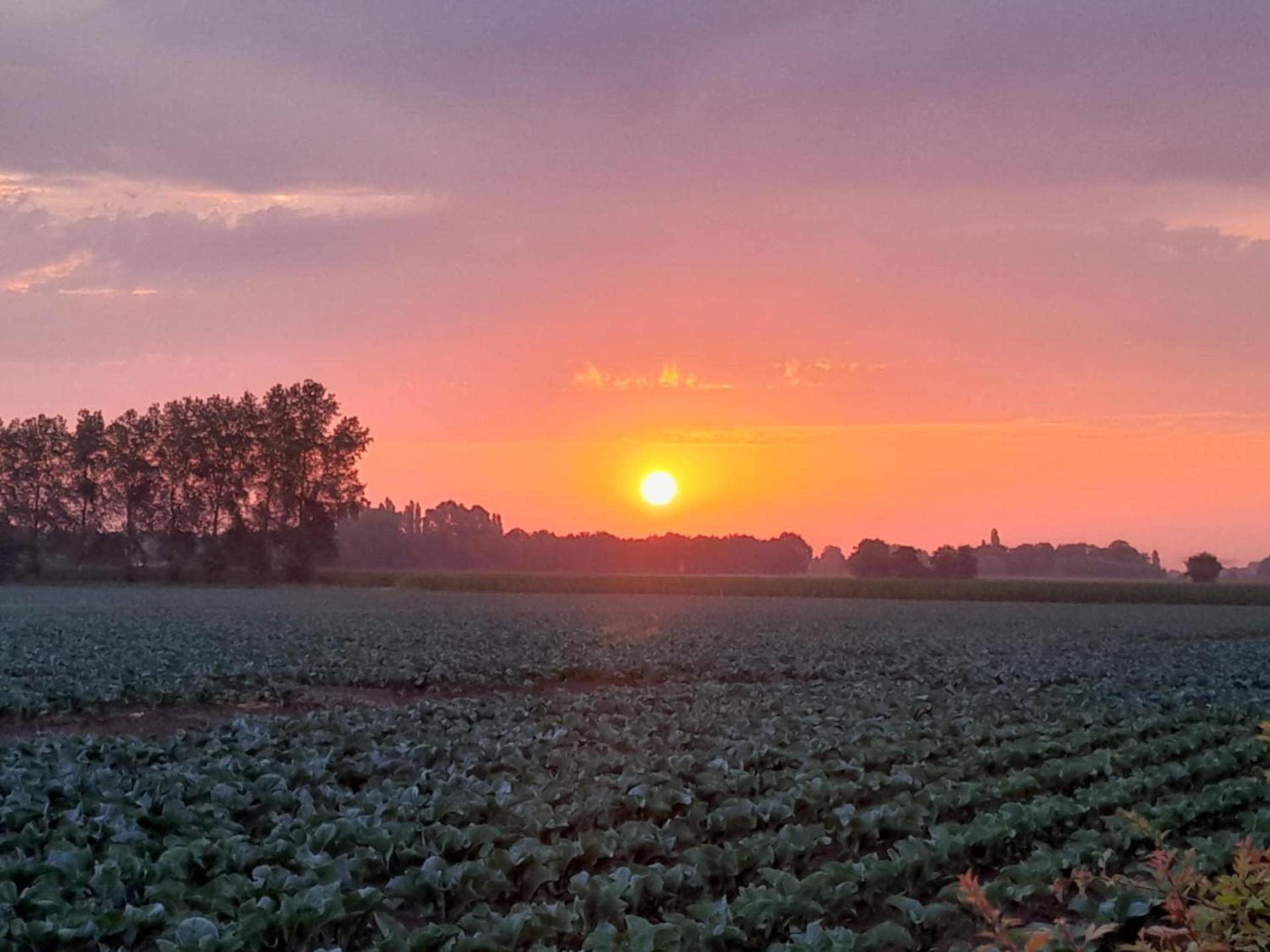 Vakantiehuis Schardauw