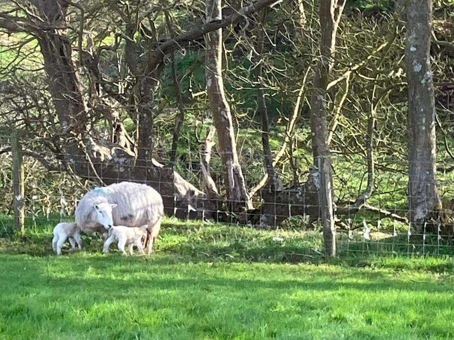 The Dairy, A Cosy conversion nr Little Haven