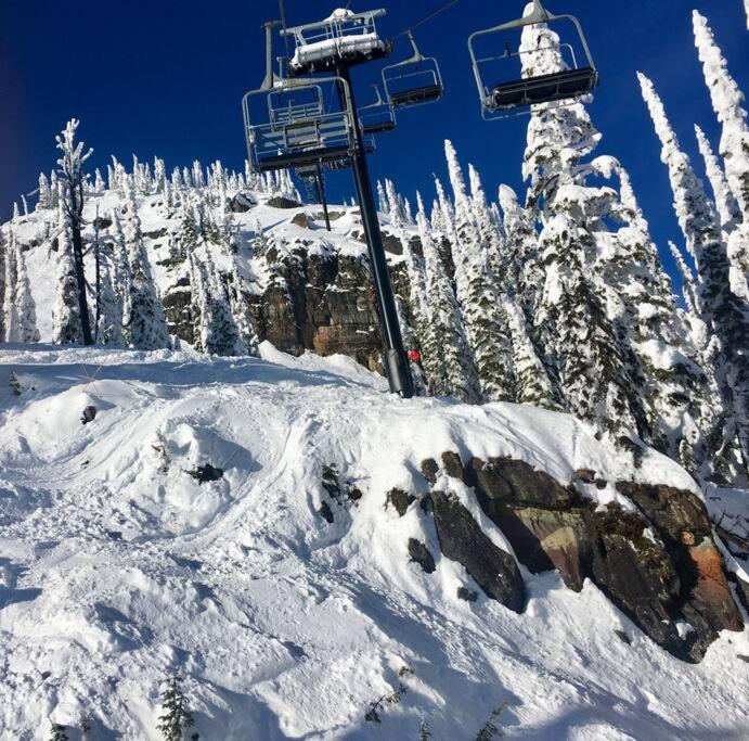 Charming and Cozy Private Home Walking Distance to Downtown