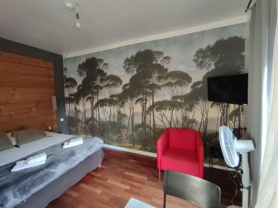 Photo of the whole room