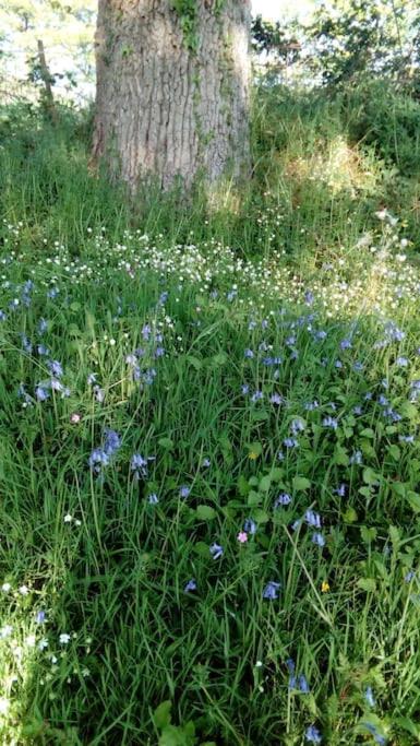 Gîte La Petite Roche