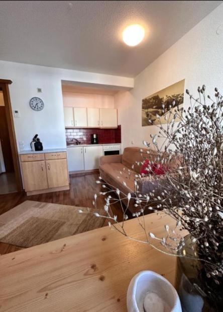 Zentrum Appartements Lorenzin