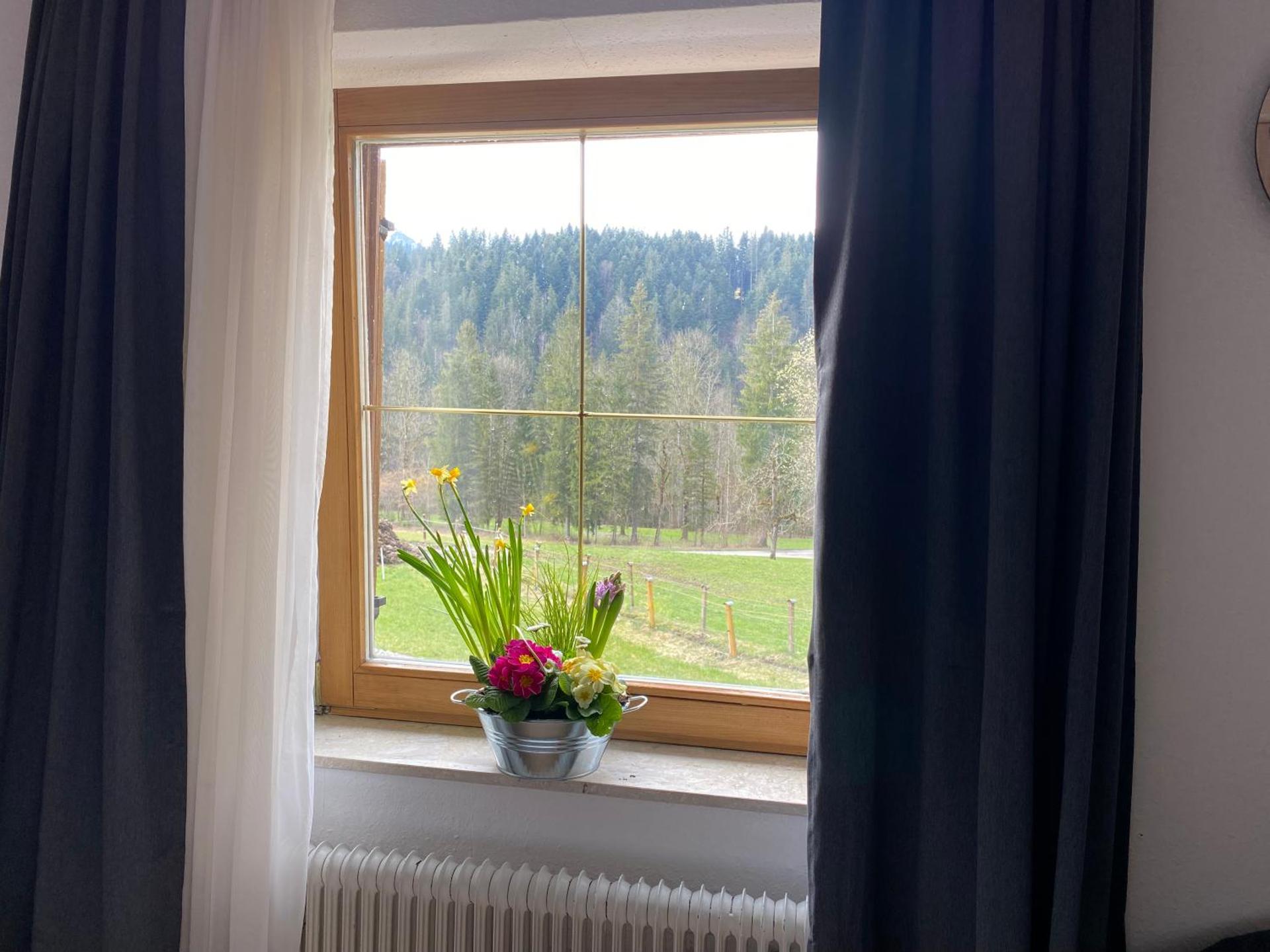 View (from property/room)