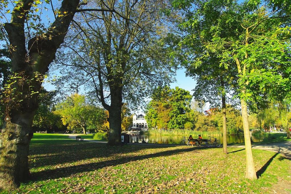 Spacious Suite at Park and Museum