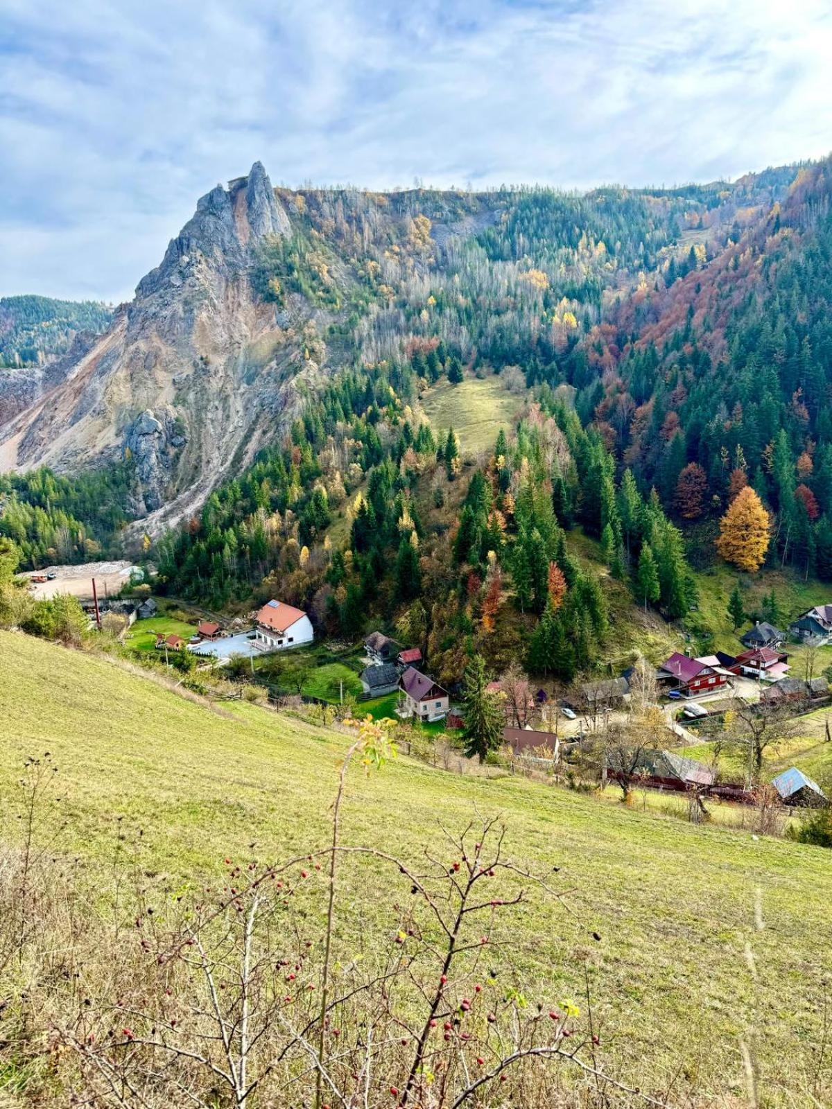 Pensiunea Cheile Șugăului