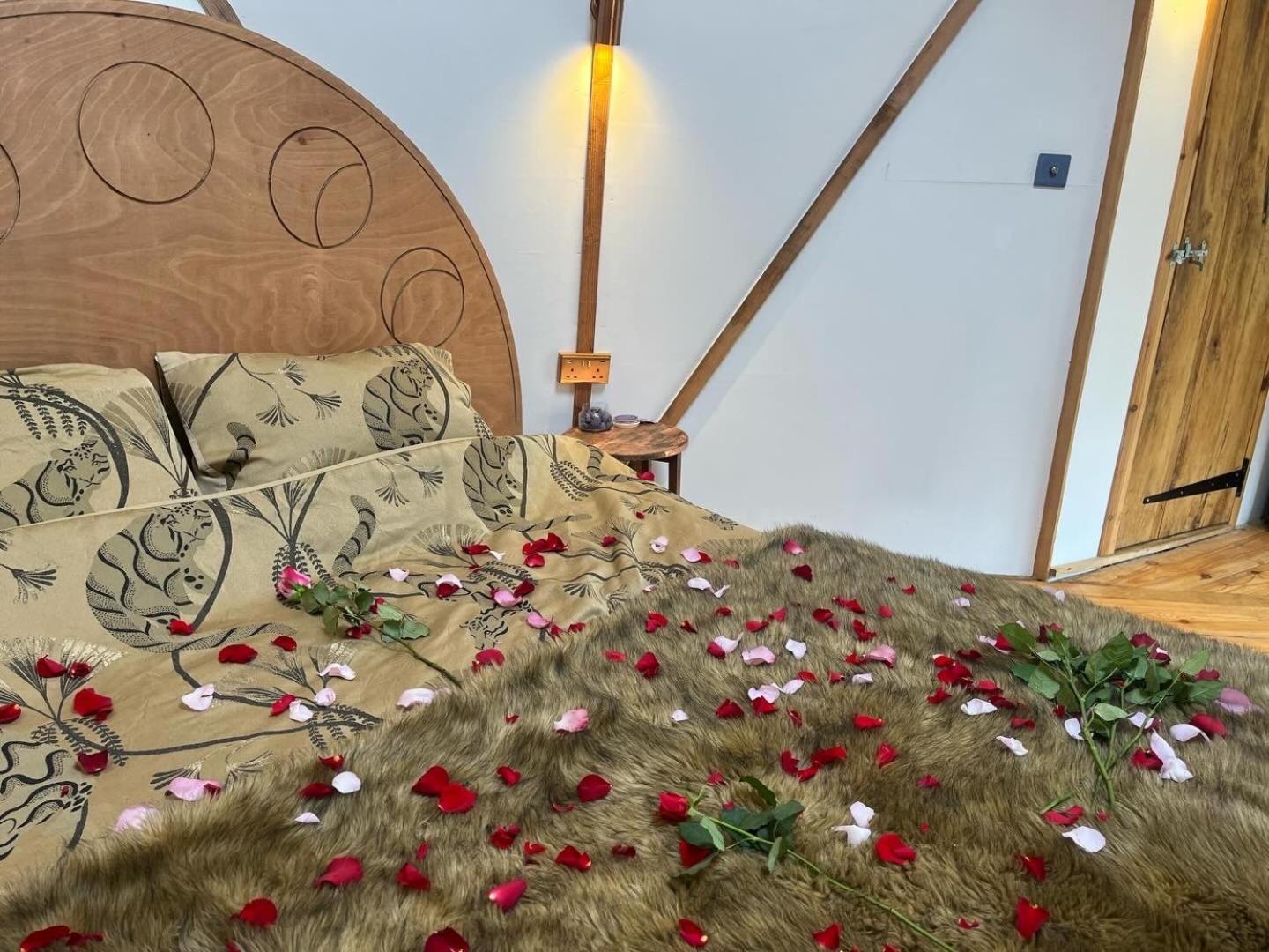 The Island of Xanadu