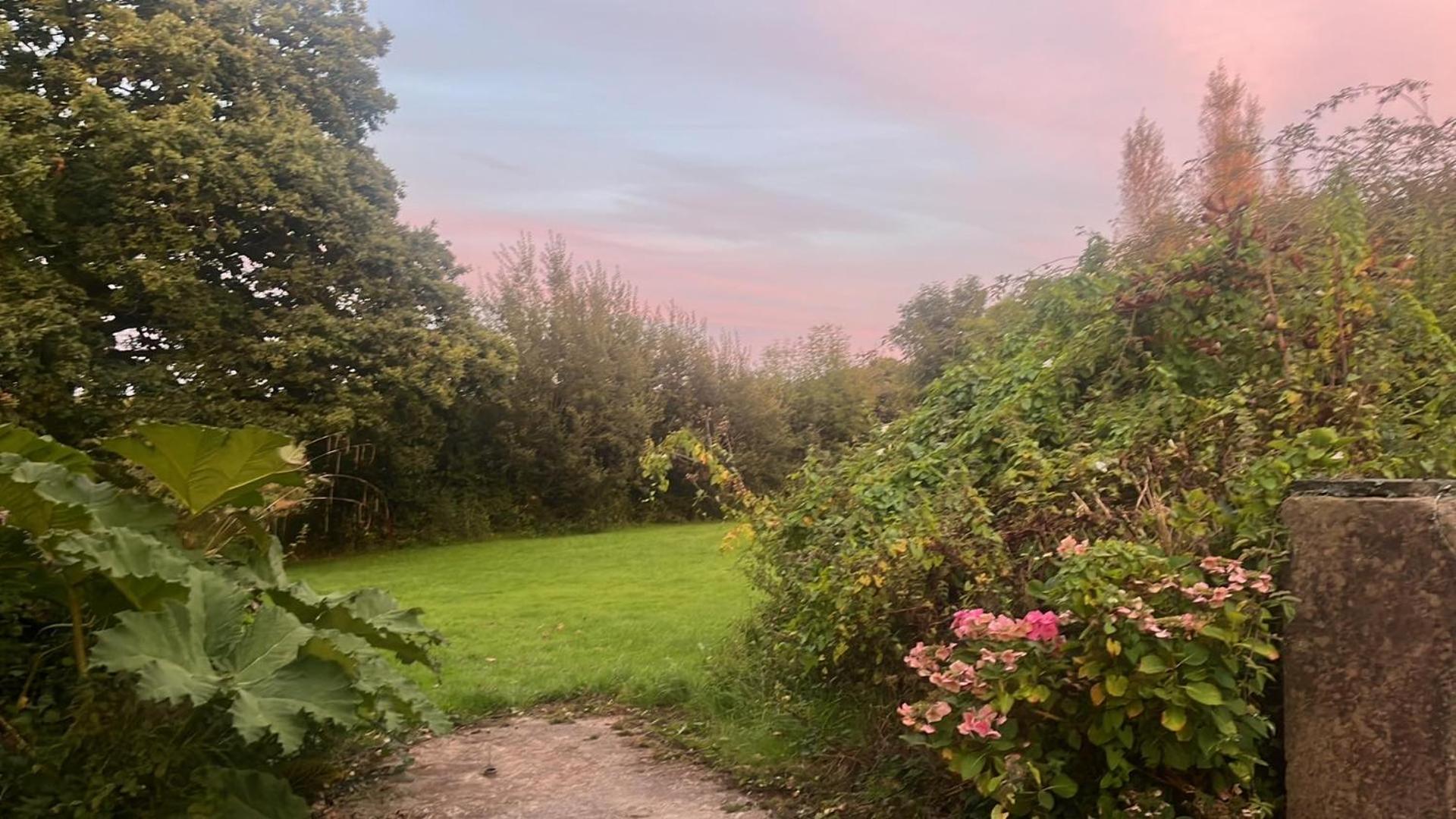 The Island of Xanadu