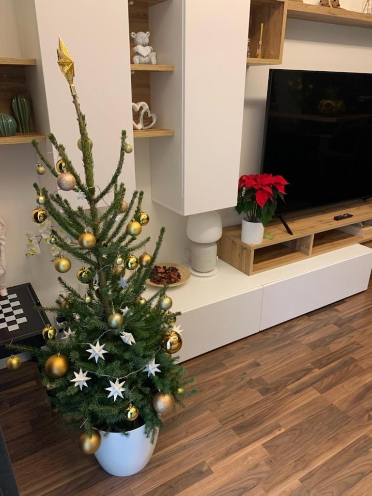 Krejcarek Garden Apartment