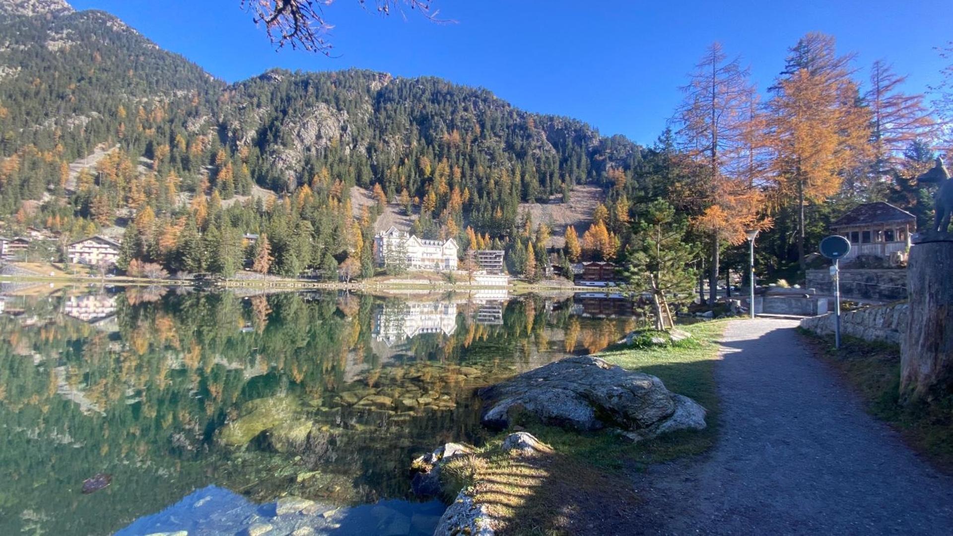 Petit Canada - Studio à louer
