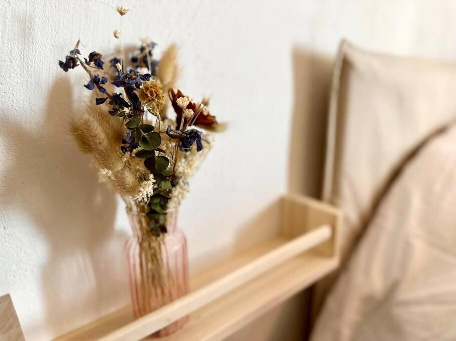 Exceptionnel Appartement avec Cinema - Cap d'Agde