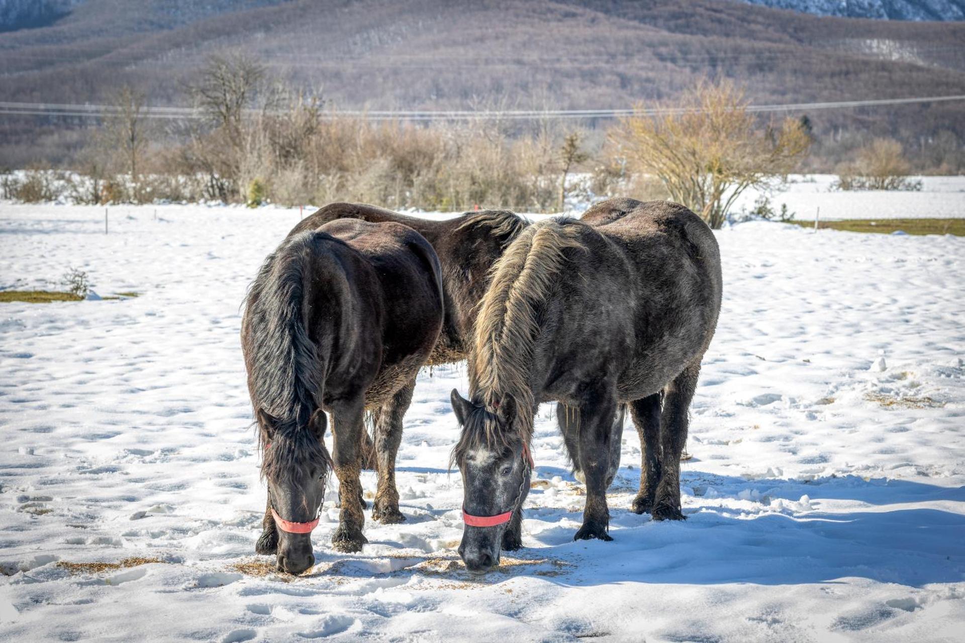 Kuća za odmor - POD VELEBITOM
