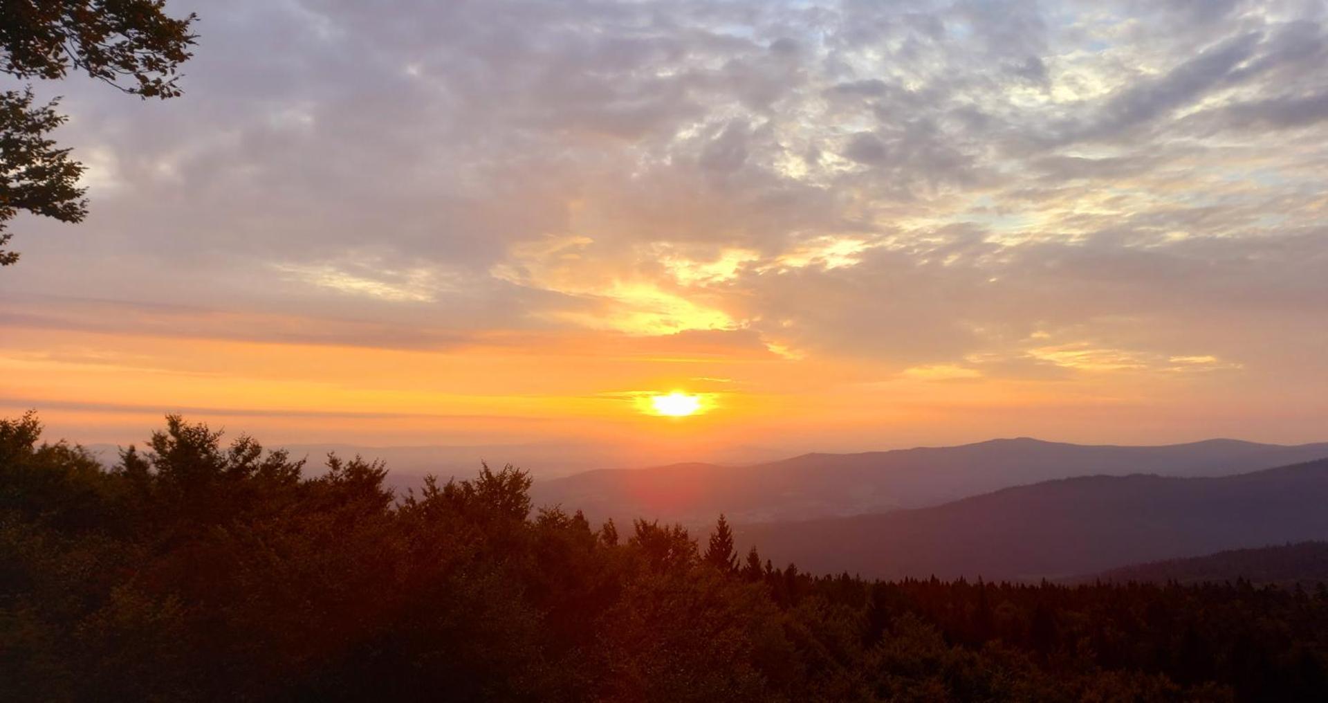 Frühstückspension Mayer-Schiller