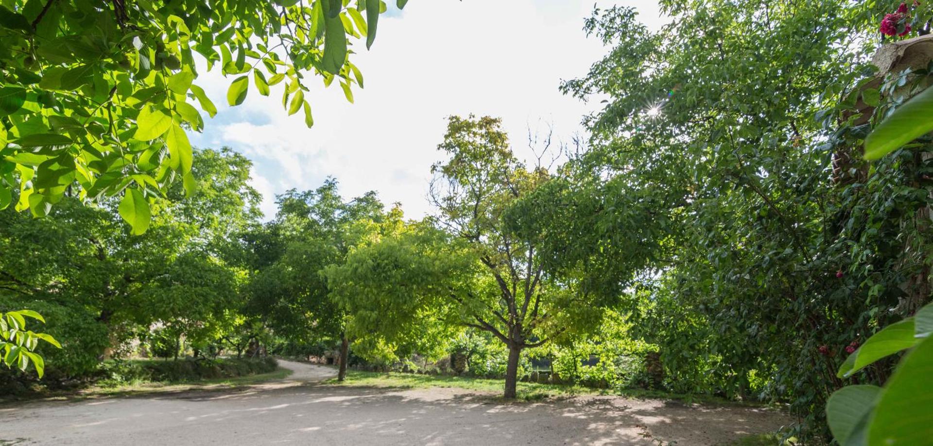 Children play ground