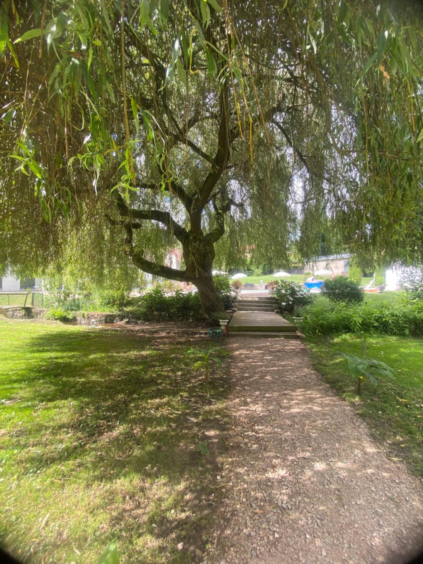 Le moulin de la Vernoelle