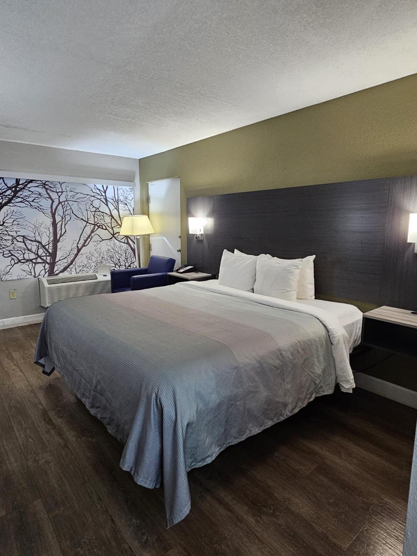 Quality Inn near Blue Spring