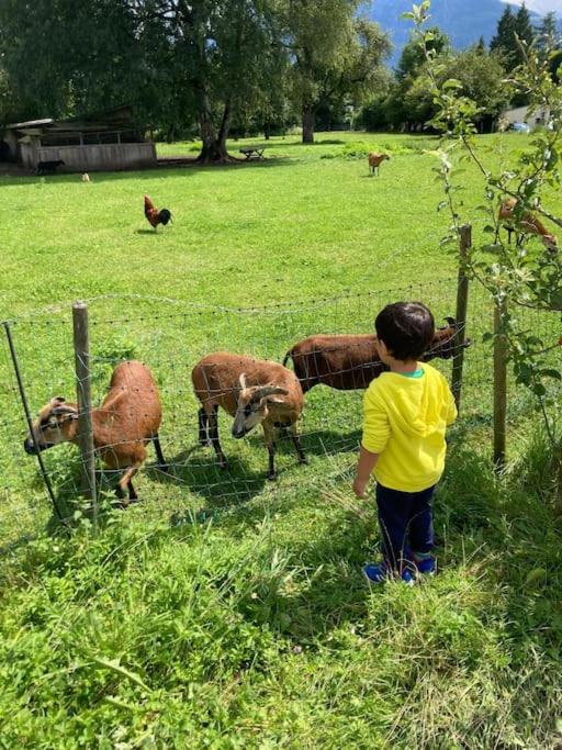 4 Star Maisonnette mit Kaiser Blick, Sauna, Schwimmbad