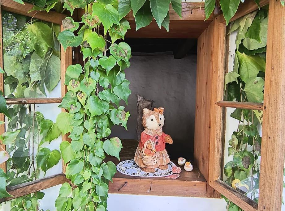 Chaloupka u Mostu sv Jana v centru Vodňan