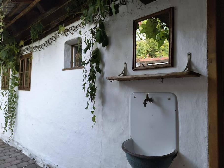 Chaloupka u Mostu sv Jana v centru Vodňan