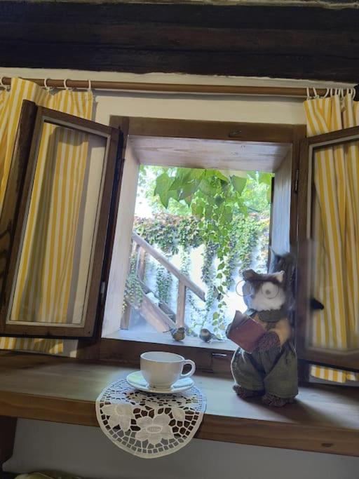 Chaloupka u Mostu sv Jana v centru Vodňan