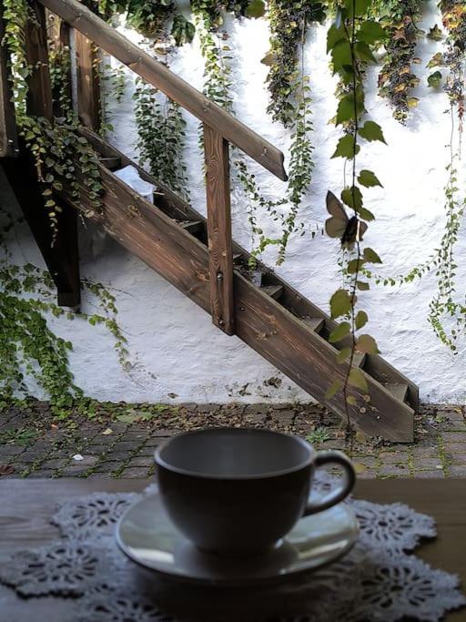 Chaloupka u Mostu sv Jana v centru Vodňan