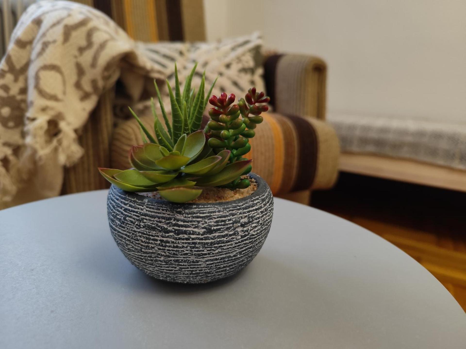 Green Terrace 10min from TERMAL BATH