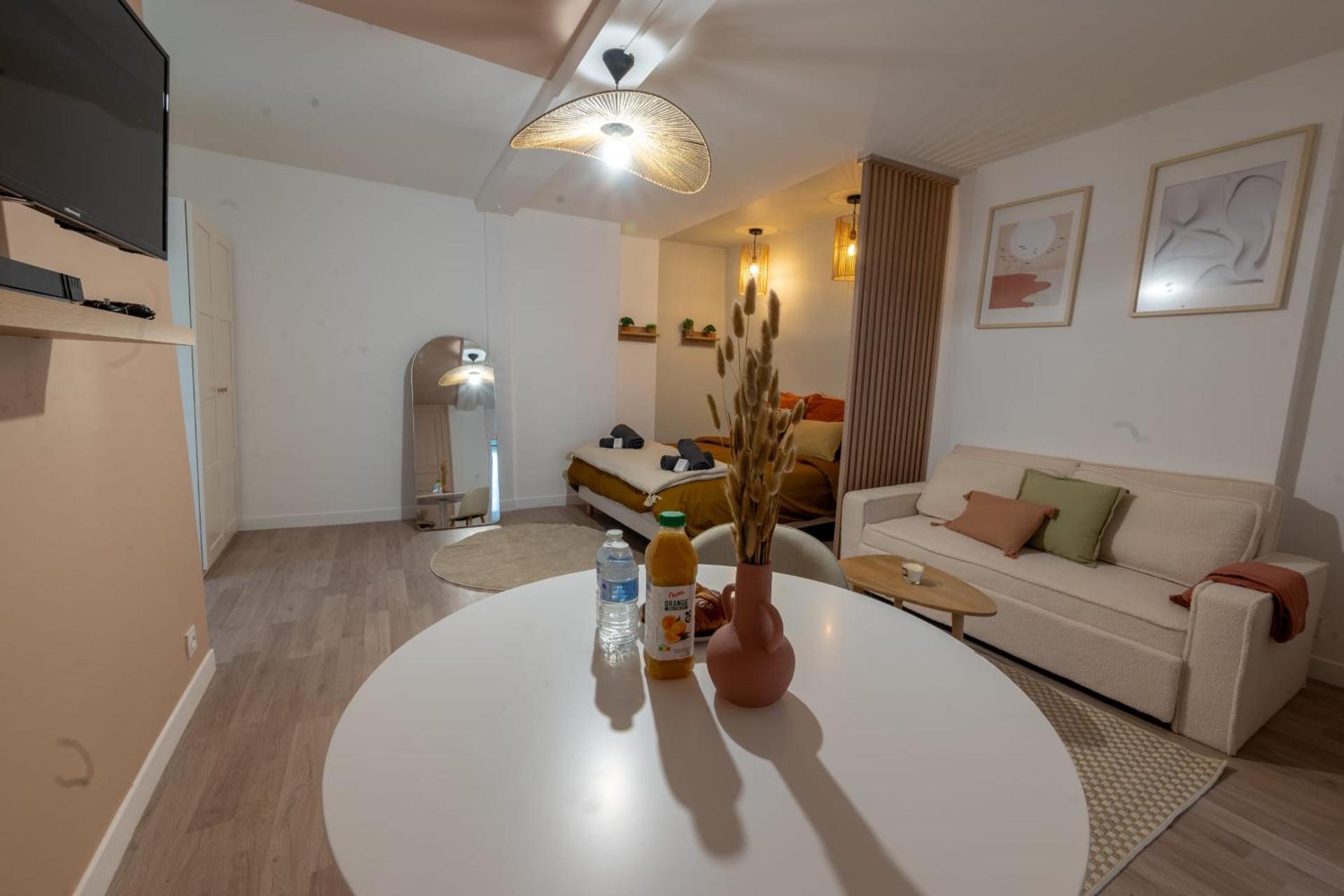 Magnifique Studio rénové centre-ville 3pers wifi