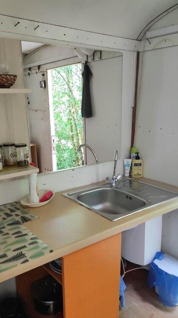 Maringotka Na Jamajce