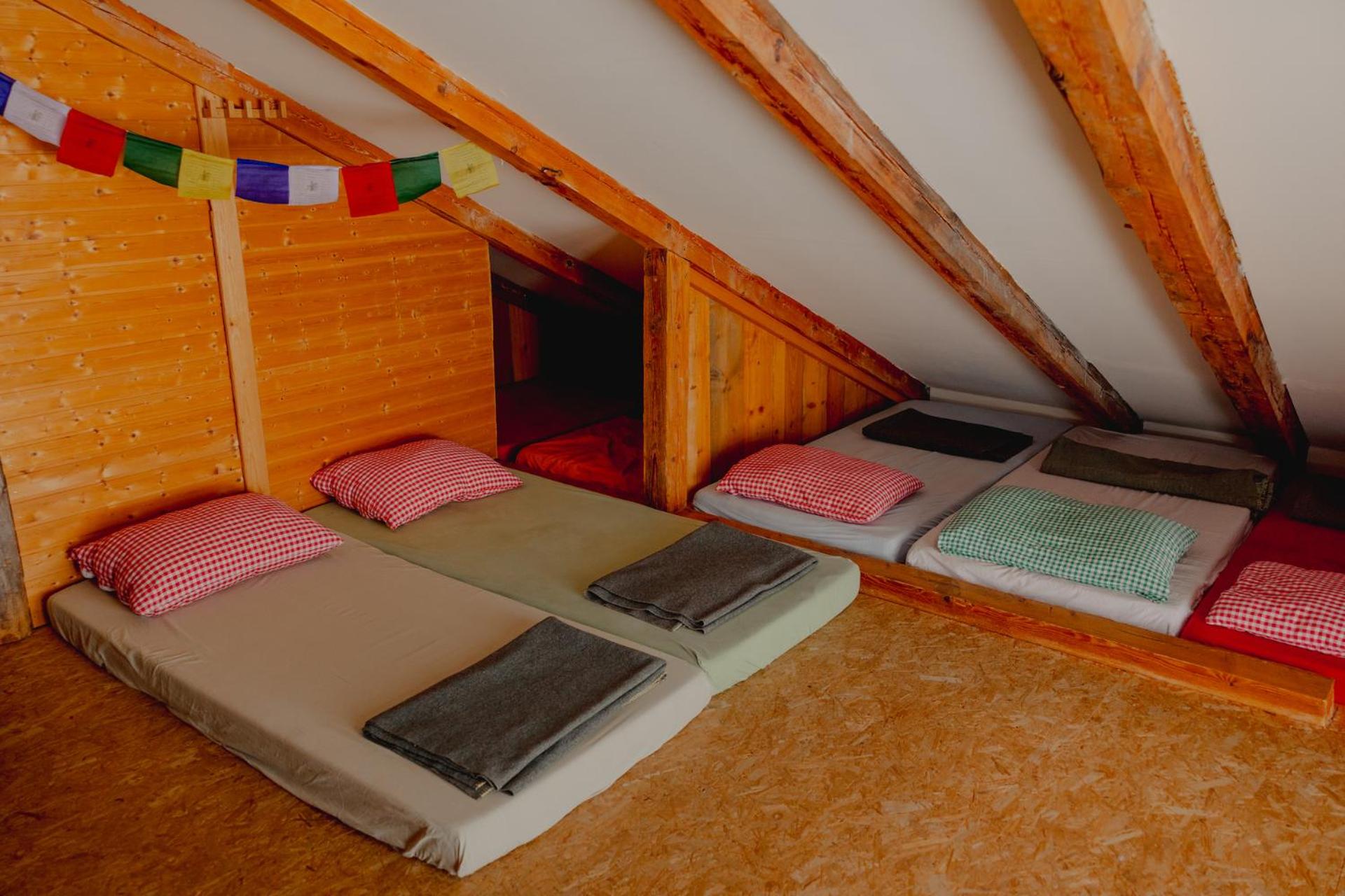 Single Bed in Mixed Dormitory Room