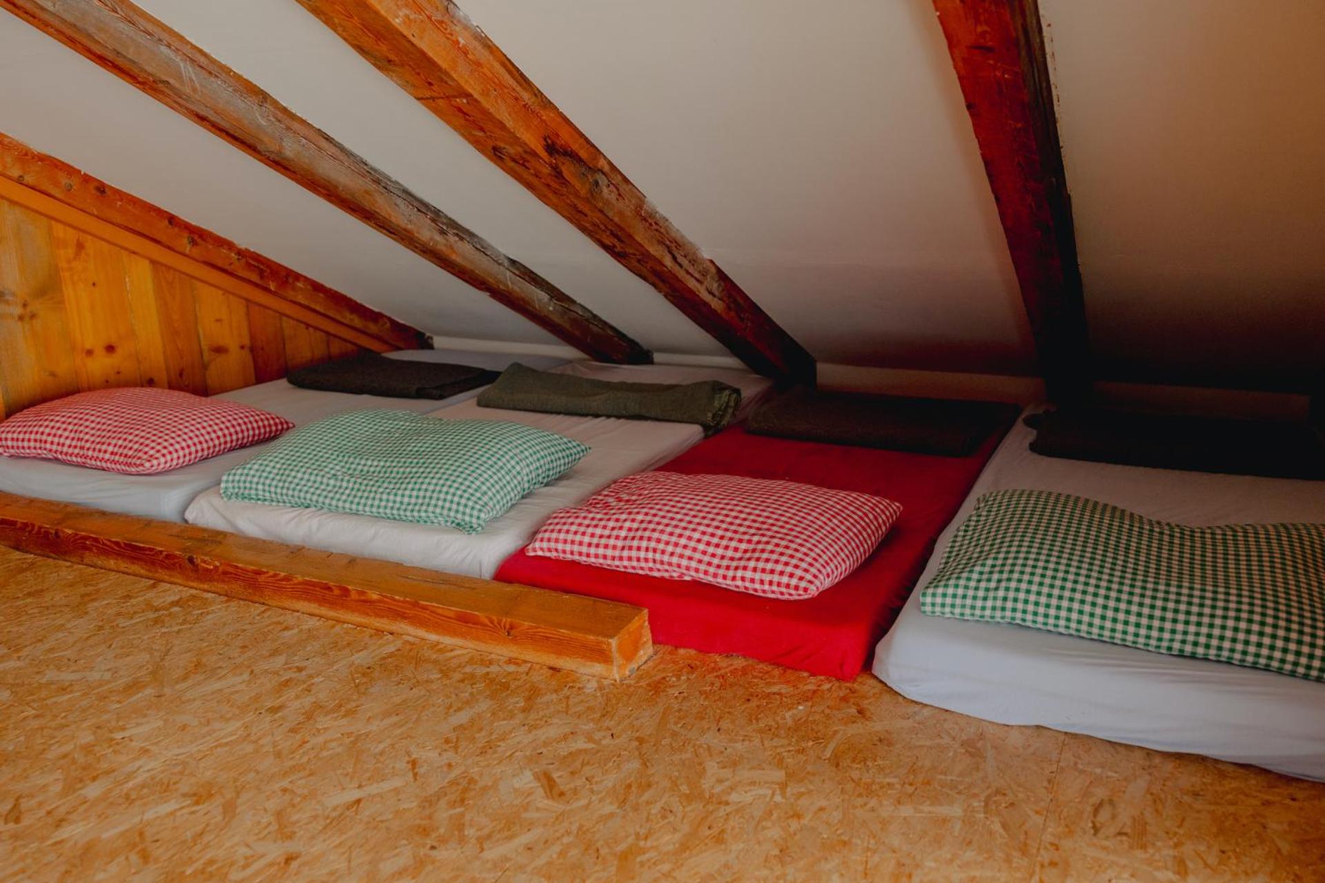 Single Bed in Mixed Dormitory Room