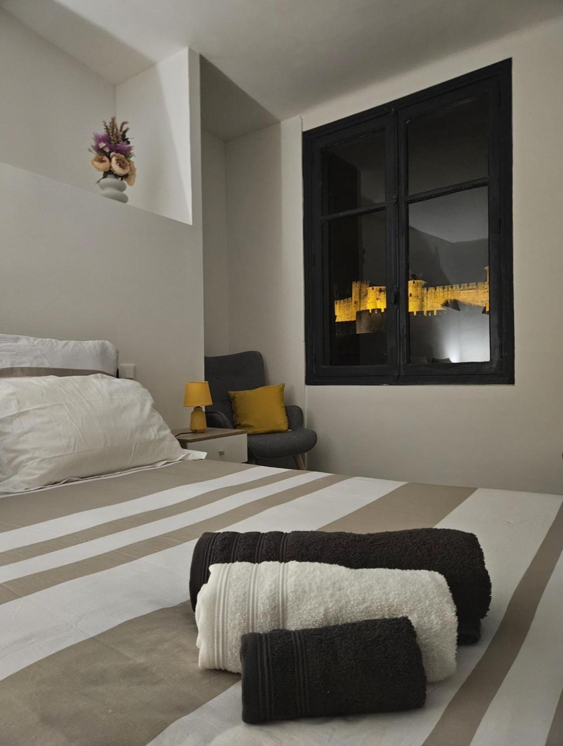 Vue Cité Médiévale Castel View