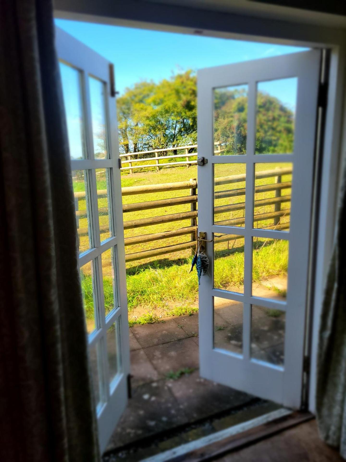 View (from property/room)