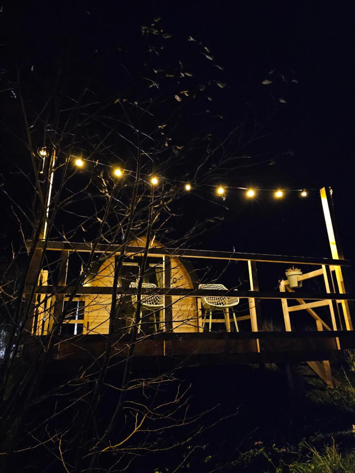 Tiny House De Skierroek