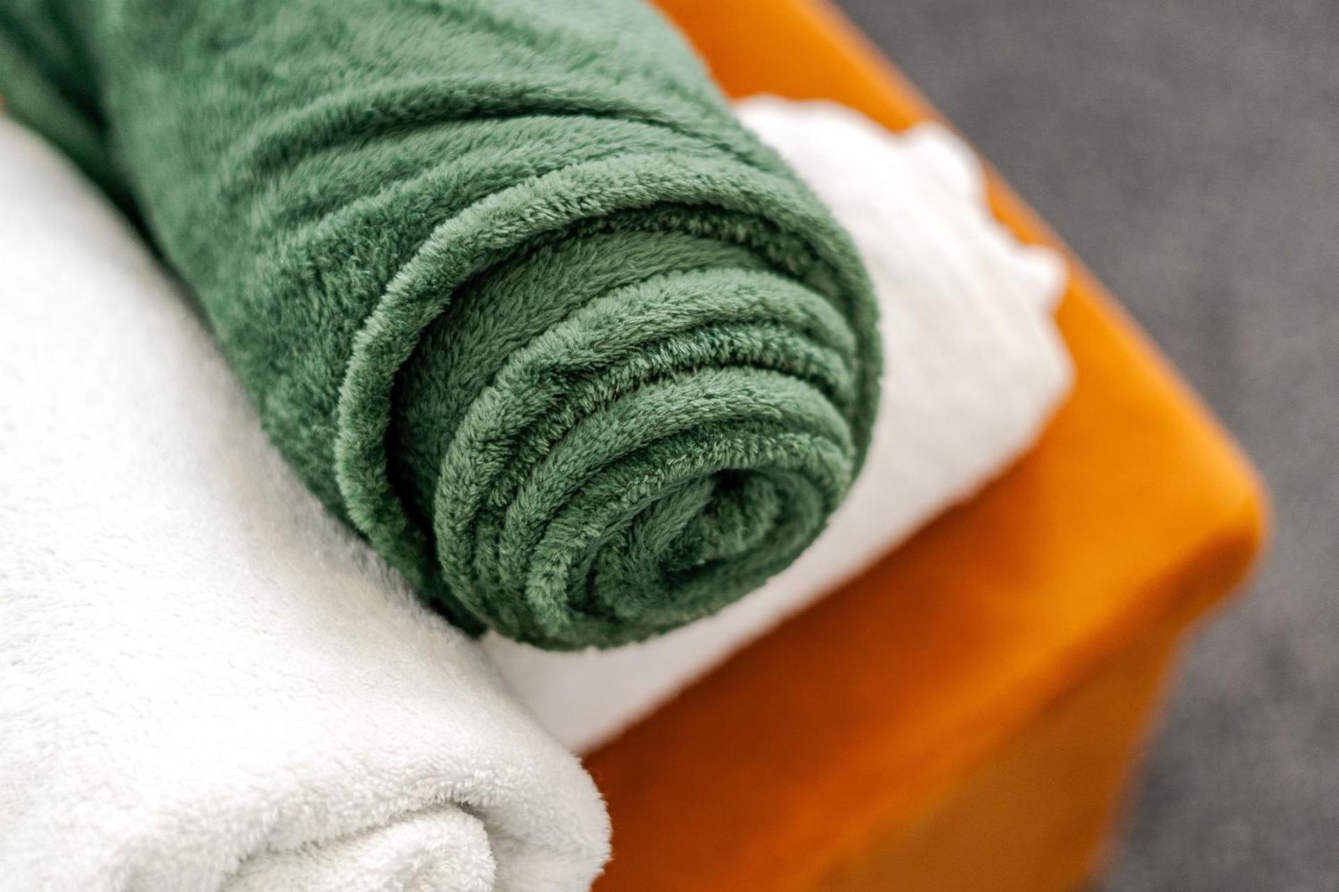 The Old Bike Shop Flat 2