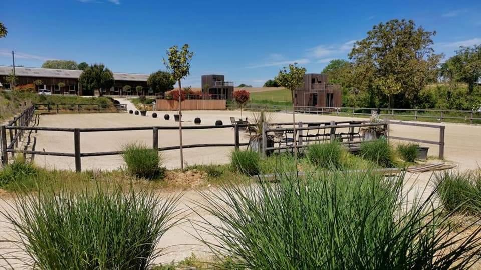 Manège de la Chapinière - DadaLoge tiny-house