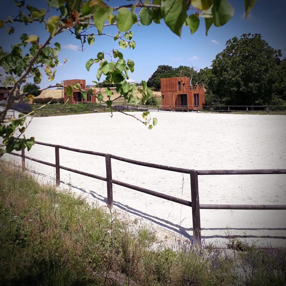 Manège de la Chapinière - DadaLoge tiny-house