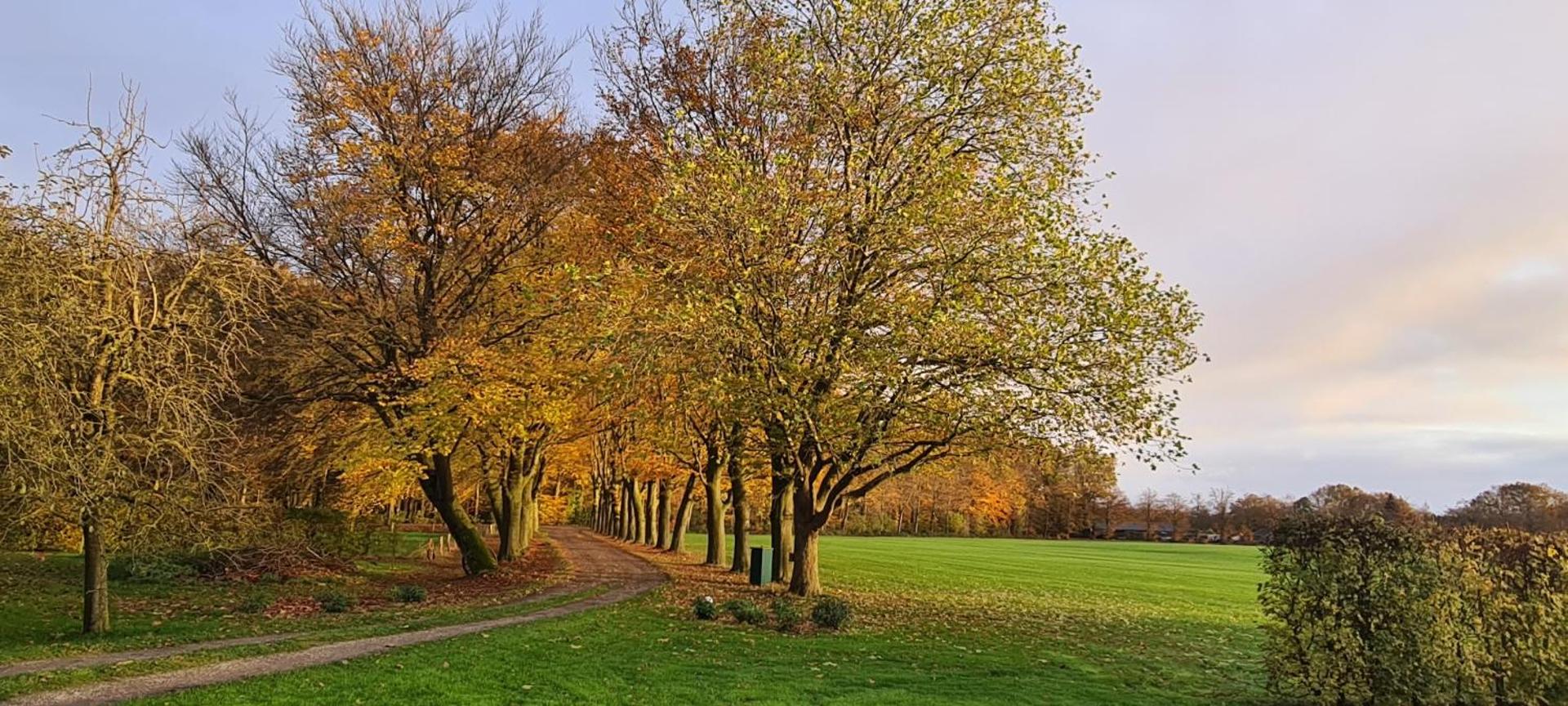 B&B Joostink in Vorden