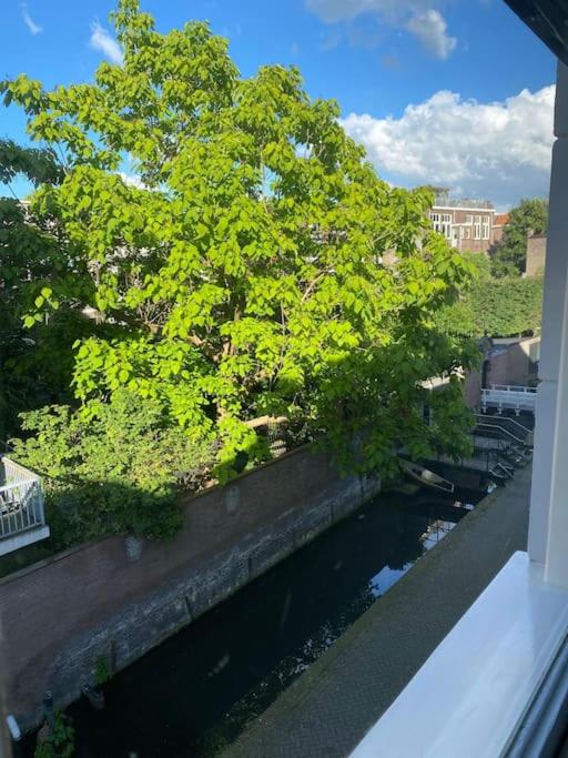 Cute flat in the heart of beautiful Gouda